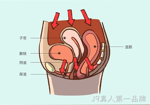 助力女性盆底功能健康发展，J9真人第一品牌推出高频评估电灼仪